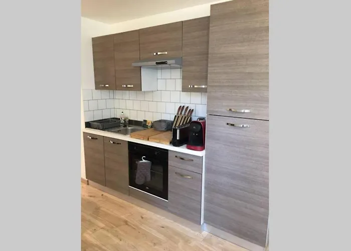 Le Logis Des Lavandieres, Au Coeur De * הונפלר